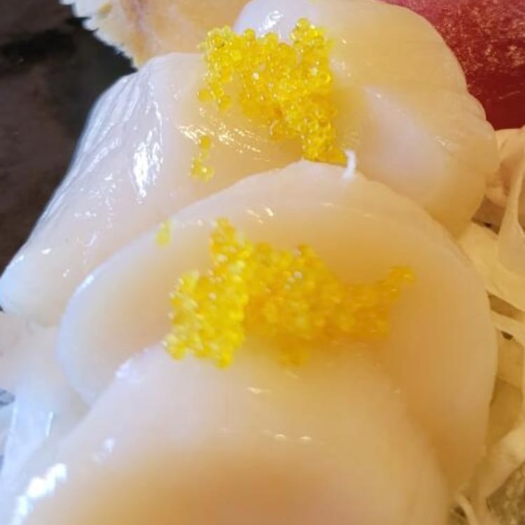 Diver Scallop - Hotate Sashimi.